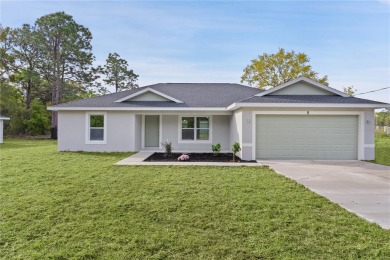 Lake Home For Sale in Ocklawaha, Florida