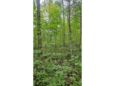 Additional listing photo 3
