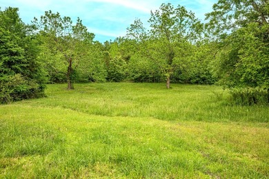 Private Hunting Retreat with Pond, Hardwood Timber & Homesite - photo 11