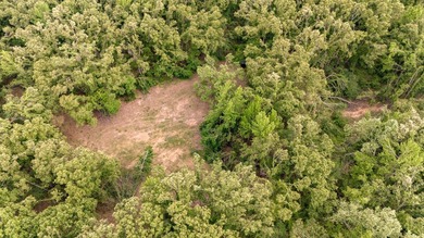 Private Hunting Retreat with Pond, Hardwood Timber & Homesite - photo 12