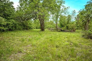 Private Hunting Retreat with Pond, Hardwood Timber & Homesite - photo 13