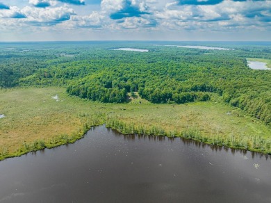 Cabin on Amik Lake - photo 15