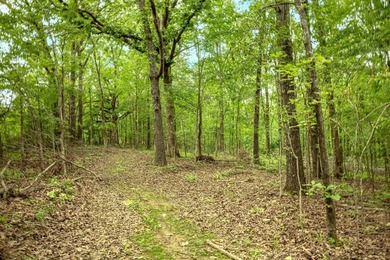 Private Hunting Retreat with Pond, Hardwood Timber & Homesite - photo 16