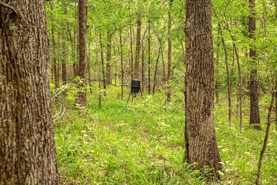Private Hunting Retreat with Pond, Hardwood Timber & Homesite - photo 20