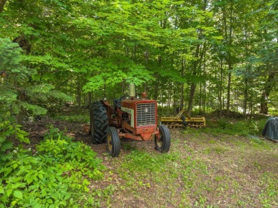 Cabin on Amik Lake - photo 22