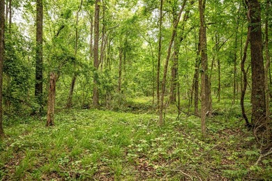 Private Hunting Retreat with Pond, Hardwood Timber & Homesite - photo 22