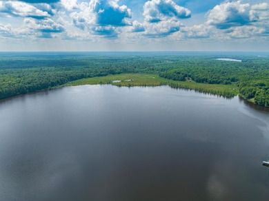 Cabin on Amik Lake - photo 26