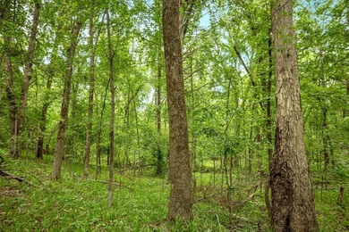 Private Hunting Retreat with Pond, Hardwood Timber & Homesite - photo 27