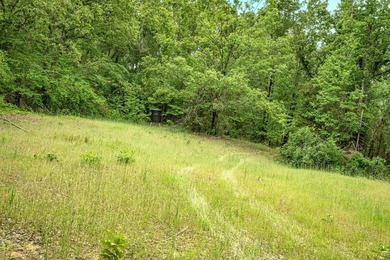 Private Hunting Retreat with Pond, Hardwood Timber & Homesite - photo 29