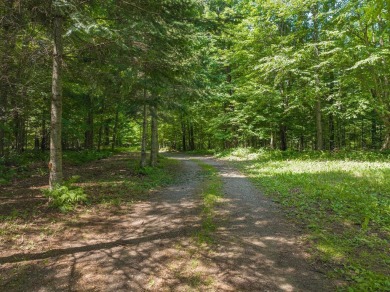 Cabin on Amik Lake - photo 30