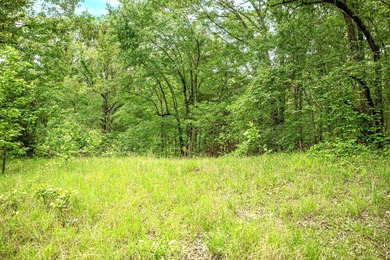 Private Hunting Retreat with Pond, Hardwood Timber & Homesite - photo 34