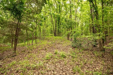 Private Hunting Retreat with Pond, Hardwood Timber & Homesite - photo 35
