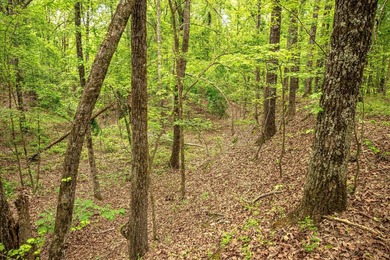 Private Hunting Retreat with Pond, Hardwood Timber & Homesite - photo 37