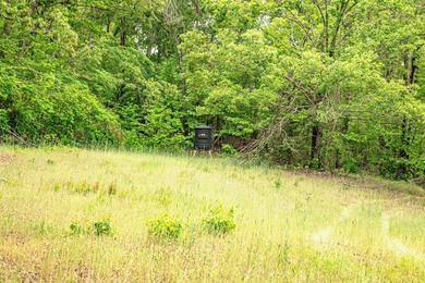 Private Hunting Retreat with Pond, Hardwood Timber & Homesite - photo 39