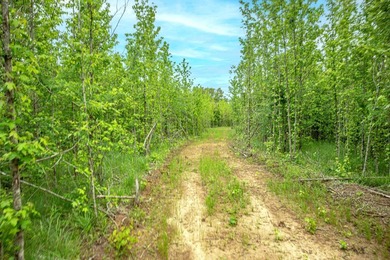 Private Hunting Retreat with Pond, Hardwood Timber & Homesite - photo 40