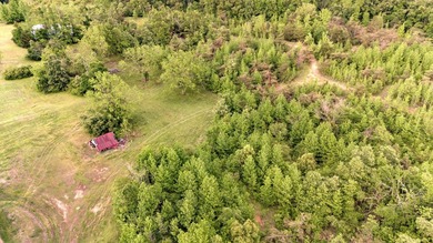 Private Hunting Retreat with Pond, Hardwood Timber & Homesite - photo 48
