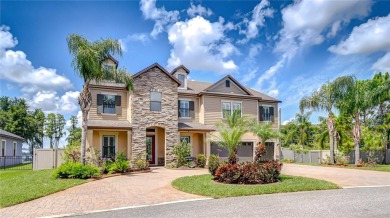 Lake Home For Sale in Land O Lakes, Florida