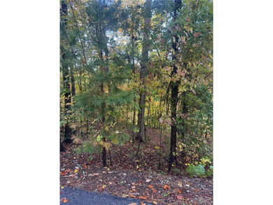 Lake Keowee Lot For Sale in Salem South Carolina