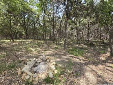 Come see this Texas Hill Country retreat in a neighborhood with - photo 14