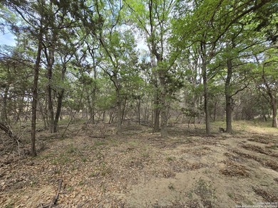 Come see this Texas Hill Country retreat in a neighborhood with - photo 19