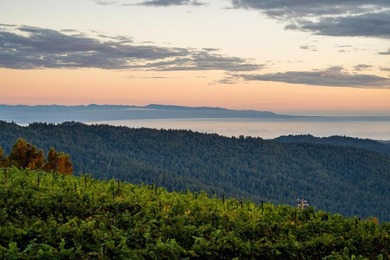 High above Silicon Valley, where the Santa Cruz Mountains meet - photo 20