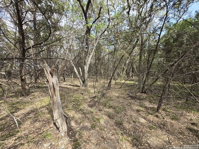 Come see this Texas Hill Country retreat in a neighborhood with - photo 20