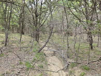 Come see this Texas Hill Country retreat in a neighborhood with - photo 22