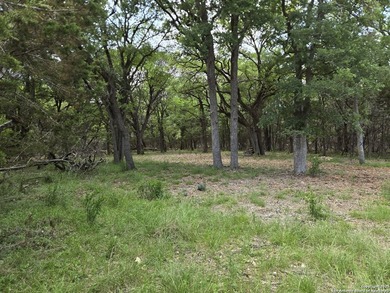 Come see this Texas Hill Country retreat in a neighborhood with - photo 24