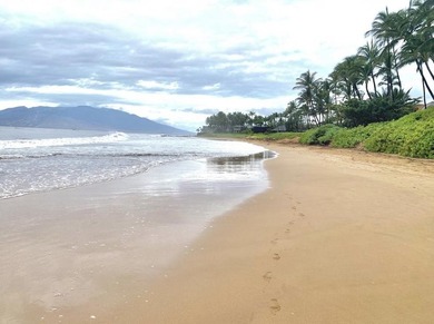 Ocean, Molokini, and Wailea Blue Golf Course views set the tone - photo 28