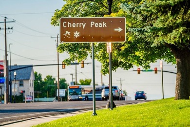 A rare opportunity to acquire Cherry Peak Resort, a - photo 4