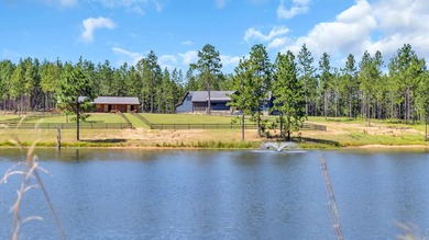 Welcome to Stone Water Estate, a brand-new custom estate - photo 35