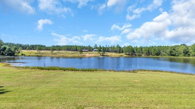 Welcome to Stone Water Estate, a brand-new custom estate - photo 37