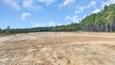 Welcome to Stone Water Estate, a brand-new custom estate - photo 43
