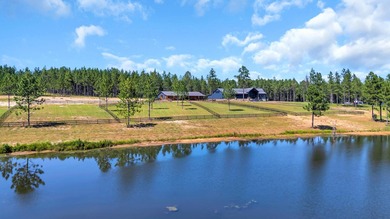 Welcome to Stone Water Estate, a brand-new custom estate - photo 47