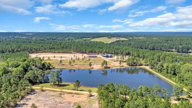 Welcome to Stone Water Estate, a brand-new custom estate - photo 48