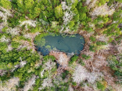 2.88-acre multi-residence property located in the heart of - photo 34