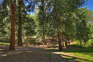 355 Cedar Ridge Dr - photo 41