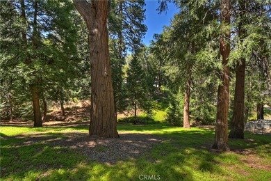 355 Cedar Ridge Dr - photo 42