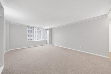 Spacious 1-bedroom corner unit in the heart of Streeterville - photo 5