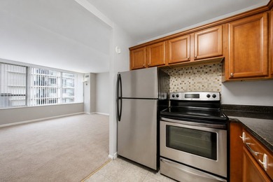 Spacious 1-bedroom corner unit in the heart of Streeterville - photo 8