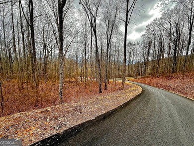 Follow your dreams to this exceptional mountain-view homesite in