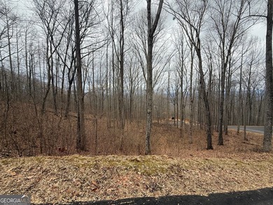 Follow your dreams to this exceptional mountain-view homesite in