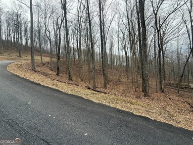 Follow your dreams to this exceptional mountain-view homesite in