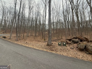 Follow your dreams to this exceptional mountain-view homesite in