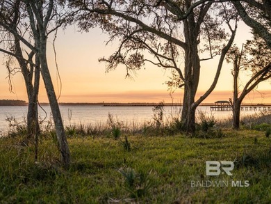 This versatile unzoned waterfront tract on the Bon Secour River - photo 1