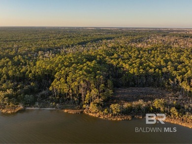 This versatile unzoned waterfront tract on the Bon Secour River - photo 2