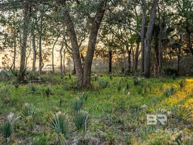 This versatile unzoned waterfront tract on the Bon Secour River - photo 3
