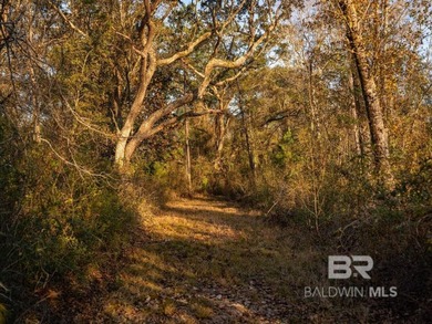 This versatile unzoned waterfront tract on the Bon Secour River - photo 4