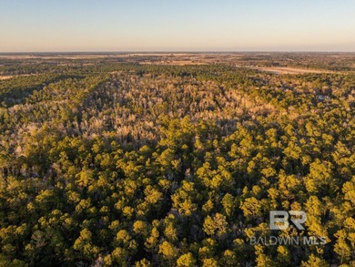 This versatile unzoned waterfront tract on the Bon Secour River - photo 5
