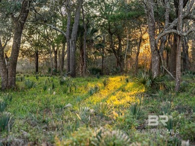 This versatile unzoned waterfront tract on the Bon Secour River - photo 6